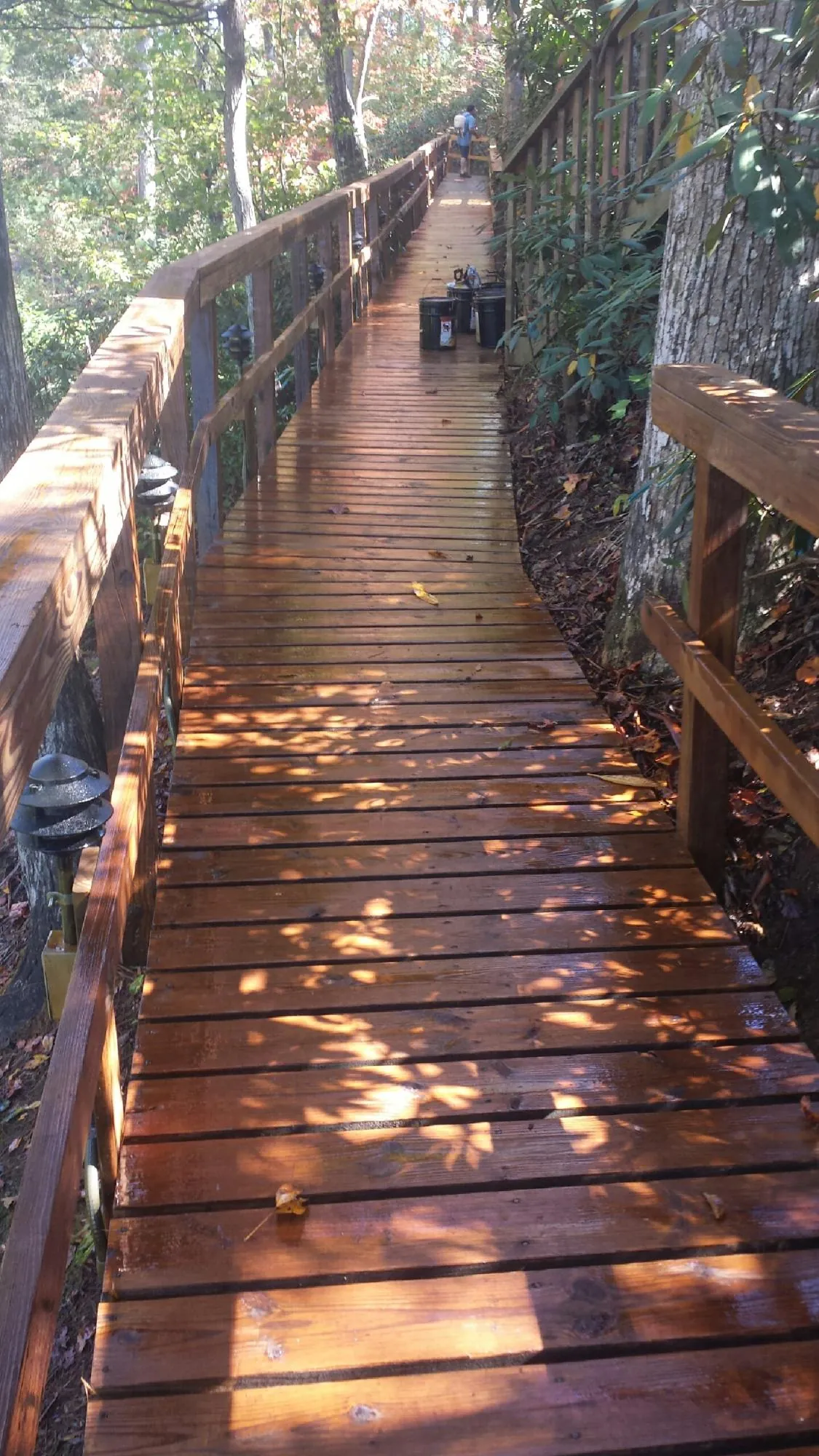 Freshly stained wood walkway winding through the woods in Gooding